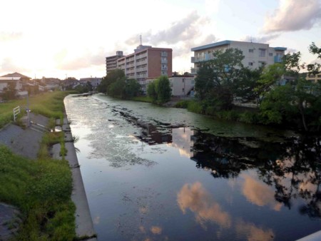 f:id:Limnology:20110923174158j:image