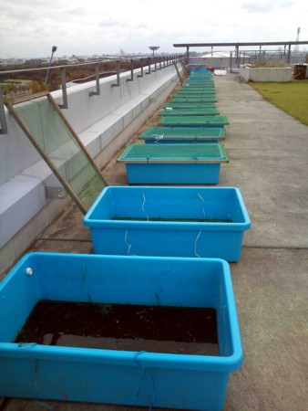 f:id:Limnology:20111020120234j:image