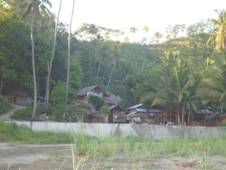 f:id:Limnology:20111210173253j:image