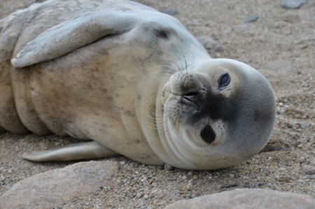 f:id:Limnology:20120207202856j:image f:id:Limnology:20120207202856j:image