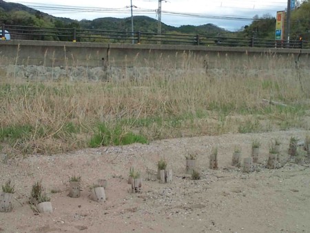 f:id:Limnology:20120422170639j:image