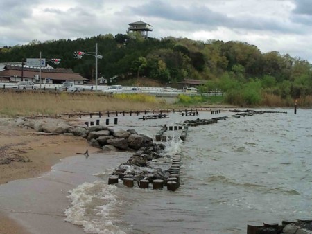 f:id:Limnology:20120422170700j:image