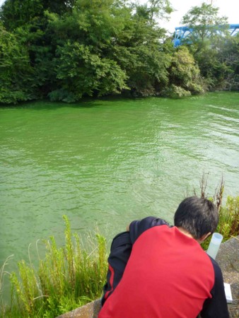 f:id:Limnology:20120810154130j:image