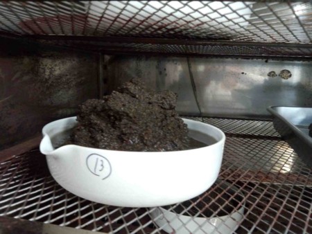 f:id:Limnology:20120810181946j:image