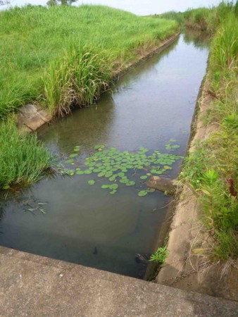 f:id:Limnology:20120814152209j:image