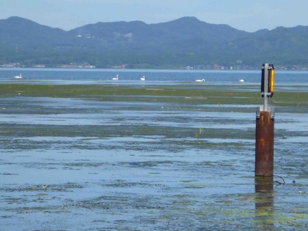 f:id:Limnology:20120821100518j:image