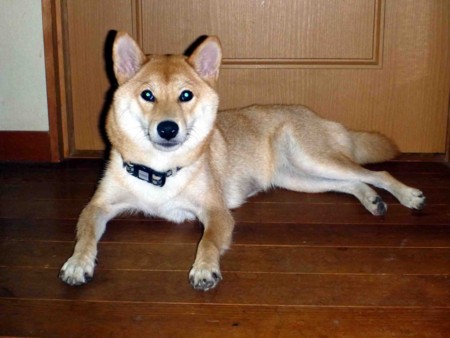 f:id:Limnology:20120902103945j:image