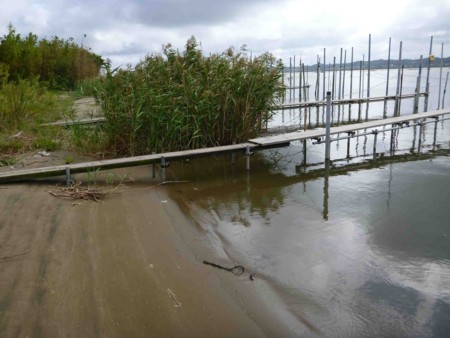 f:id:Limnology:20120929134613j:image