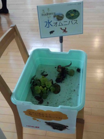 f:id:Limnology:20121027112915j:image