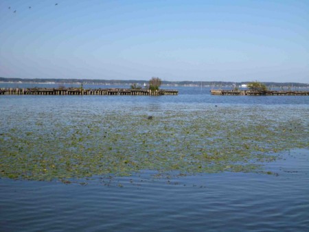 f:id:Limnology:20121104125846j:image