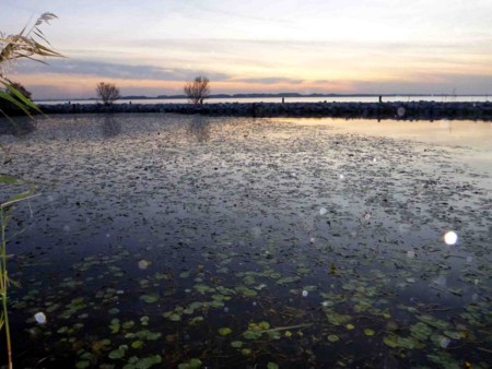 f:id:Limnology:20121104171252j:image