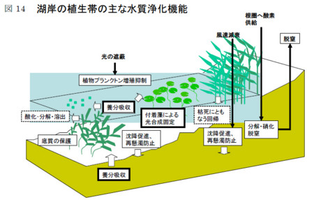 f:id:Limnology:20121215105140j:image f:id:Limnology:20121215105140j:image