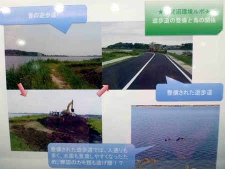 f:id:Limnology:20130405114604j:image