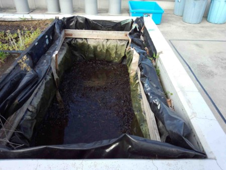 f:id:Limnology:20130607163537j:image