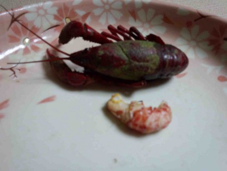 f:id:Limnology:20130607191224j:image