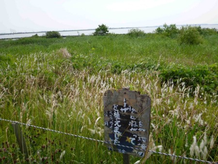 f:id:Limnology:20130609150311j:image