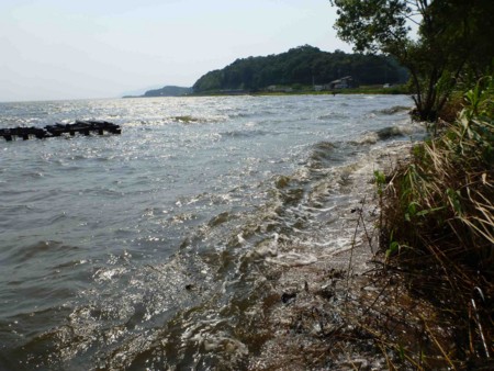 f:id:Limnology:20130808145705j:image f:id:Limnology:20130808145705j:image