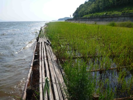 f:id:Limnology:20130808152238j:image f:id:Limnology:20130808152238j:image