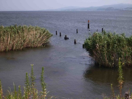 f:id:Limnology:20130809121935j:image