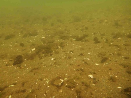 f:id:Limnology:20130811095916j:image f:id:Limnology:20130811095916j:image