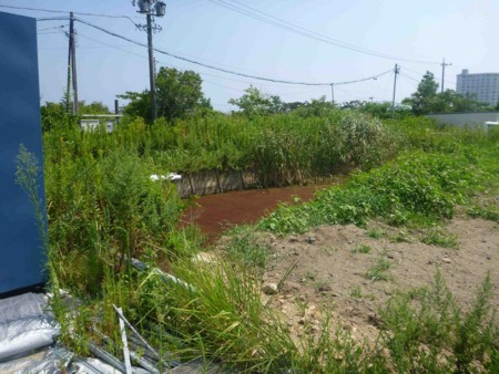 f:id:Limnology:20130816131111j:image