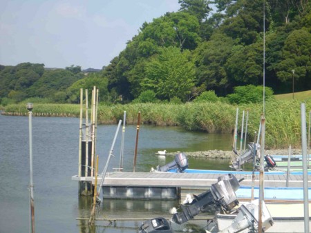 f:id:Limnology:20130816140436j:image