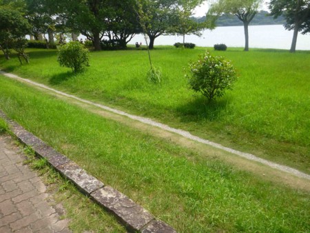 f:id:Limnology:20130817102747j:image