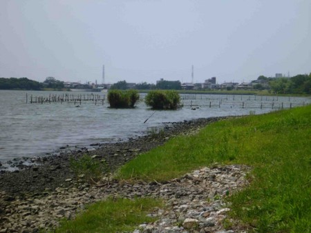 f:id:Limnology:20130817112008j:image
