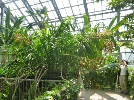 f:id:Limnology:20130824113216j:image