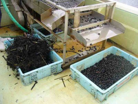 f:id:Limnology:20131003122328j:image
