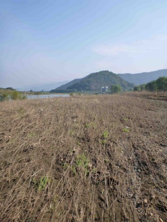 f:id:Limnology:20131031103137j:image