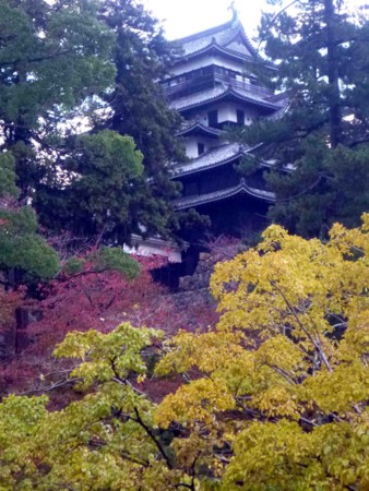 f:id:Limnology:20131111072228j:image