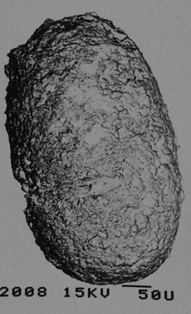 f:id:Limnology:20131210184348j:image f:id:Limnology:20131210184348j:image