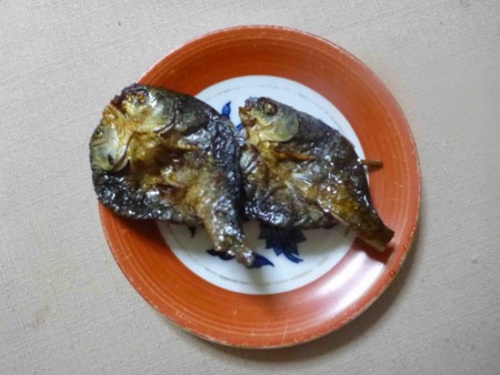 f:id:Limnology:20140203183831j:image