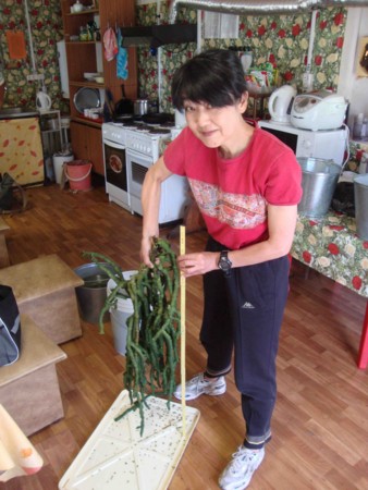 f:id:Limnology:20140719131719j:image
