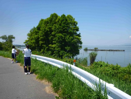 f:id:Limnology:20140802115105j:image