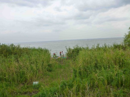 f:id:Limnology:20140824152235j:image