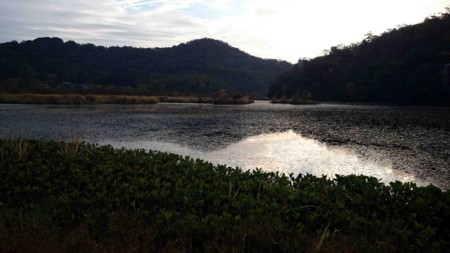 f:id:Limnology:20141108063739j:image