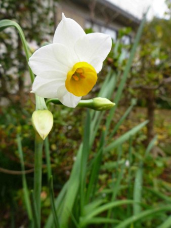 f:id:Limnology:20141130112909j:image