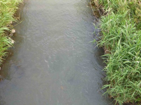 f:id:Limnology:20150524144608j:image