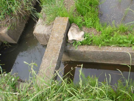 f:id:Limnology:20150524145031j:image