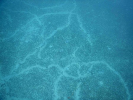 f:id:Limnology:20150625145316j:image