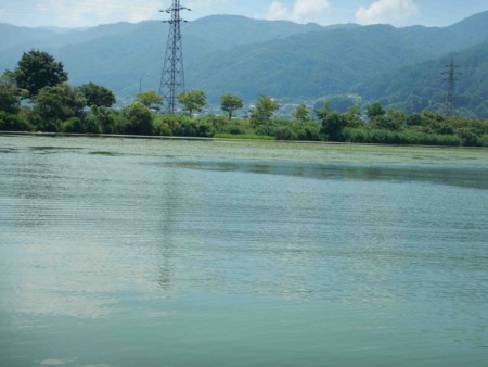 f:id:Limnology:20150808105151j:image