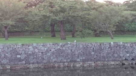 f:id:Limnology:20150929061724j:image