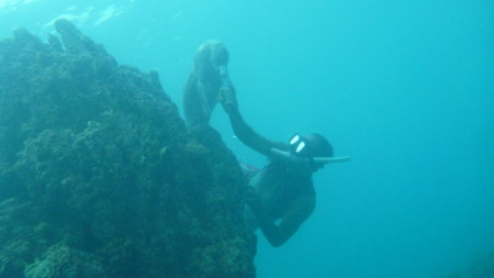 f:id:Limnology:20151213154250j:image
