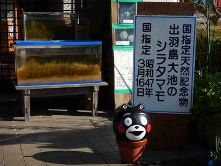 f:id:Limnology:20160318083656j:image