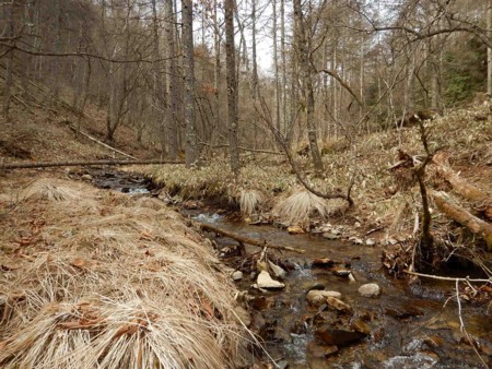 f:id:Limnology:20160330141033j:image