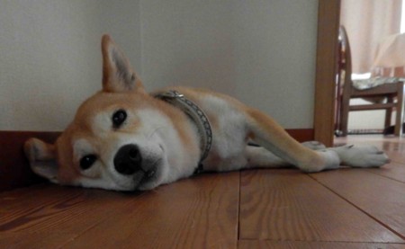 f:id:Limnology:20160813123502j:image f:id:Limnology:20160813123502j:image