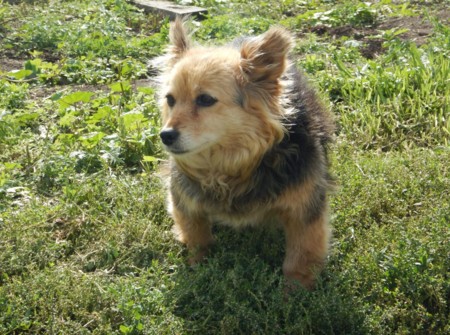 f:id:Limnology:20160901125434j:image f:id:Limnology:20160901125434j:image