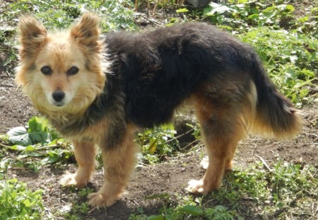 f:id:Limnology:20160902024139j:image f:id:Limnology:20160902024139j:image